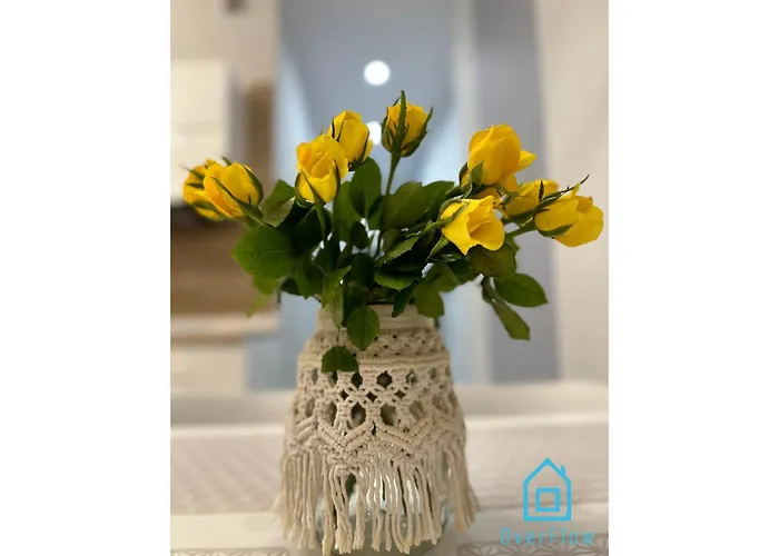 Apartament Anchor Your Docking Point In The Heart Of